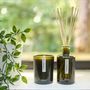 Gifts - Green Botanical Diffuser - AERY LIVING