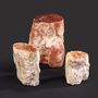 Decorative objects - Petrified wood slice and log, interior curiosity - METAMORPHOSES