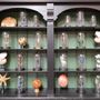 Objets de décoration - Globes entomologiques, papillons et cabinet de curiosités - METAMORPHOSES