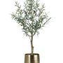 Floral decoration - Artificial Green Plants Collection  - EMERALD ETERNAL GREEN BV