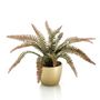 Floral decoration - Artificial Green Plants Collection  - EMERALD ETERNAL GREEN BV