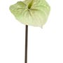 Floral decoration - Artificial Flowers Collection - EMERALD ETERNAL GREEN BV