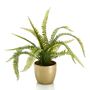 Objets de décoration - Collection de plantes vertes artificielles  - EMERALD ETERNAL GREEN BV