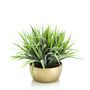 Décorations florales - Collection de plantes vertes artificielles  - EMERALD ETERNAL GREEN BV