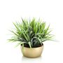 Floral decoration - Artificial Green Plants Collection - EMERALD ETERNAL GREEN BV