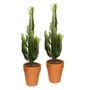 Decorative objects - Terra Cotta collection - PLANTOPHILE