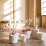 Home fragrances - Palazzo Bello Collection - MATHILDE M.