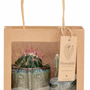 Cadeaux - Pochette cadeau 2 cactus dans des pots visage noir - PLANTOPHILE