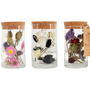 Gifts - Arrangement of dried flowers in a vase - assortment of 3 colors - medium - PLANTOPHILE