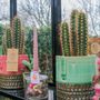 Decorative objects - Cactus mix pot Yannique - BEST SELLER - small - PLANTOPHILE