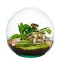 Decorative objects - Terrarium Earth - PLANTOPHILE