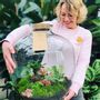 Objets design - Terrarium géant - PLANTOPHILE