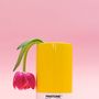 Licensed products - Pencil Cup - PANTONE