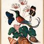 Poster - Poster Natural history Collection - THE DYBDAHL CO.