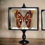 Customizable objects - Our butterfly collection - OBJET DE CURIOSITÉ