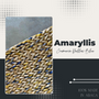 Classic carpets - Amaryllis Cremeria Rug Yellow Blue - WEAVEMANILA