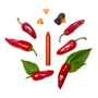 Delicatessen - Seasoning pencil single boxet - Espelette pepper - Organic - OCNI FACTORY