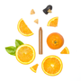 Delicatessen - Seasoning pencil single boxet  - Orange & cumin - Organic - OCNI FACTORY