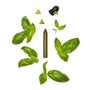 Delicatessen - Seasoning sticks boxet 3 flavours : Preserved lemon, Hotpepper & garlic, Basil - Organic - OCNI FACTORY