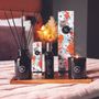 Decorative objects - Fragrance Diffuser Forever Young - MADEMOISELLE LULUBELLE