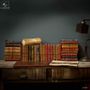 Decorative objects - Our book collection - OBJET DE CURIOSITÉ