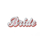 Gifts - Iron on patch Wedding:  Bride, Babe, BRIDE, GROOM,  Just Married - PARTYDECO