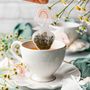 Café et thé  - Sachet de thé forme fraise ( lot de 5 )  - TEA HERITAGE