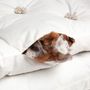 Comforters and pillows - HANDMADE DOG BEDS & CUSHIONS FILLED WITH 100% ALPACA FIBRE - MY ALPACA