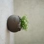 Vases - Caleb Agabe - Handmade Plant Pot - ATRIUM DESIGN STUDIO