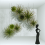 Wall lamps - MY FEATHER THING - MURIEL UGHETTO