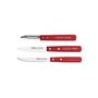 Kitchen utensils - 2-edged peeler - hornbeam - cherry red tinted - Nogent - NOGENT***