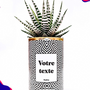 Gifts - Cactus Nuance - Customizable - STYLEY