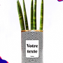 Cadeaux - Cactus Nuance - Personnalisable - STYLEY