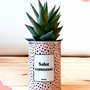 Cadeaux - Salut Connasse - Cactus - STYLEY