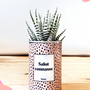 Cadeaux - Salut Connasse - Cactus - STYLEY