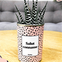 Cadeaux - Salut Connasse - Cactus - STYLEY