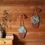 Other wall decoration - LITTLE ALOE AND LITTLE GREEN WALL HANGING - NATTIOT