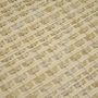 Upholstery fabrics - Canage Rattan Leather for Upholstery, Brick Collection - LAURE BENARD