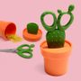 Bowls - Cactus Collection : Qualy Toilet paper holder, Plant pot, Doorstoper, Bin, Toilet Brush, Canister, spoon, Scissors, Container, Tray - QUALY DESIGN OFFICIAL