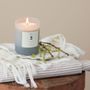 Candles - NO. 3 - Santal Fig Scented Candle - ILLUME X BLOOMINGVILLE