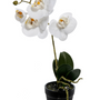 Objets de décoration - Orchidée Phalaenopsis Blanc - Plante Artificielle H 28cm - ARTIFLOR