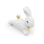 Cadeaux - lapin et carotte Pin - METALMORPHOSE