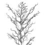 Décorations florales - ARBRE ARTIFICIEL - PASSION DÉCOR
