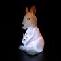 Gifts - Kangaroo Night Light - DHINK.EU