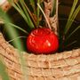 Accessoires de jardinage - Mini ollas à planter - L'ATELIER DES CREATEURS