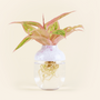 Floral decoration - The Tot' Fanta x “Not Without Reason” - L'ATELIER DES CREATEURS