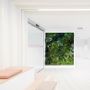 Solutions acoustiques - Moss&Plants Mid jardin vertical - GREENAREA