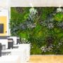 Solutions acoustiques - Moss&Plants Mid jardin vertical - GREENAREA