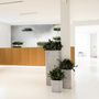 Acoustic solutions - OTOGreen Wall Sound-absorbing and biophilic panels - GREENAREA