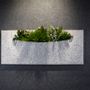 Acoustic solutions - OTOGreen Wall Sound-absorbing and biophilic panels - GREENAREA